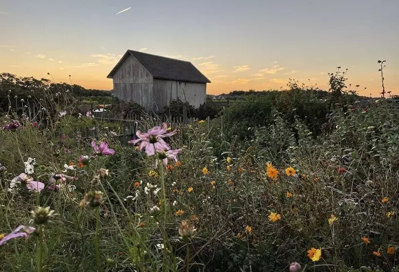 The Farmhouse Bed And Breakfast