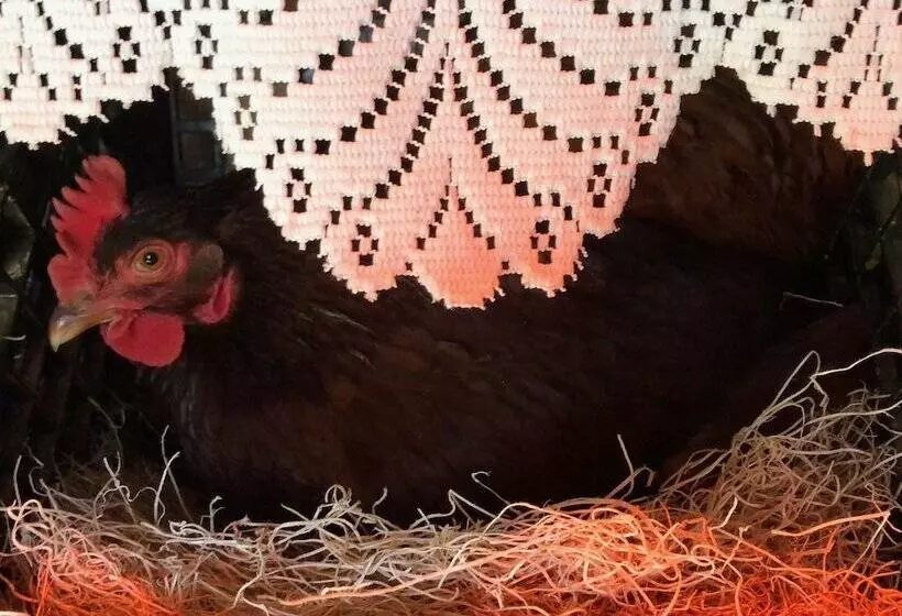 The Farmhouse Bed And Breakfast