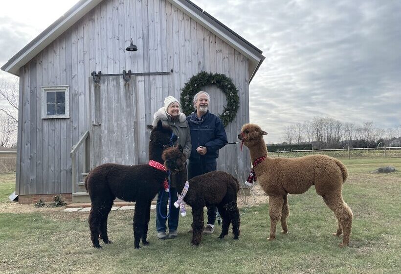 The Farmhouse Bed And Breakfast