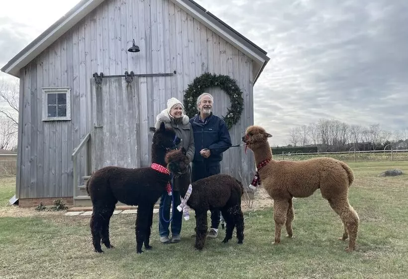 The Farmhouse Bed And Breakfast