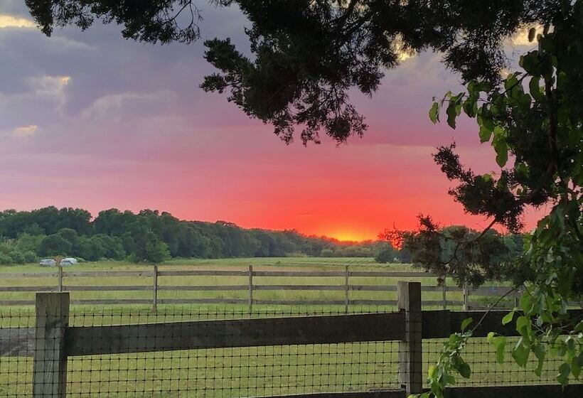 The Farmhouse Bed And Breakfast