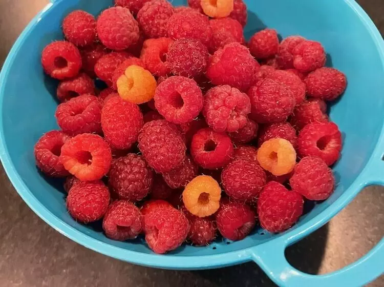 The Farmhouse Bed And Breakfast