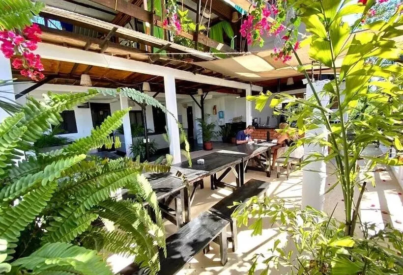 Hostal Chaak Hostel