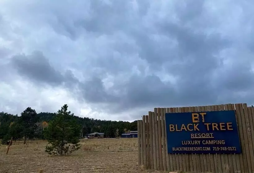 ホテル Black Tree Resort   The Lodge