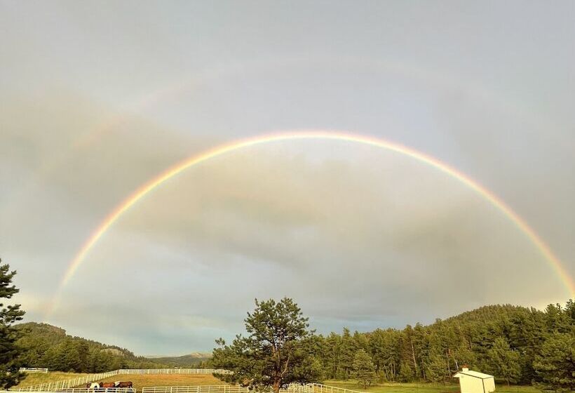 فندق Black Tree Resort   The Lodge