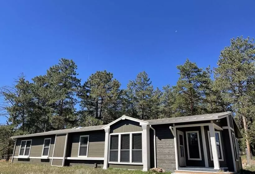 ホテル Black Tree Resort   The Lodge
