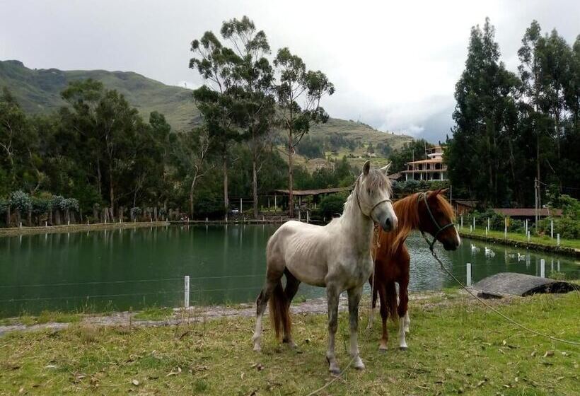 هتل Fundo El Chocho