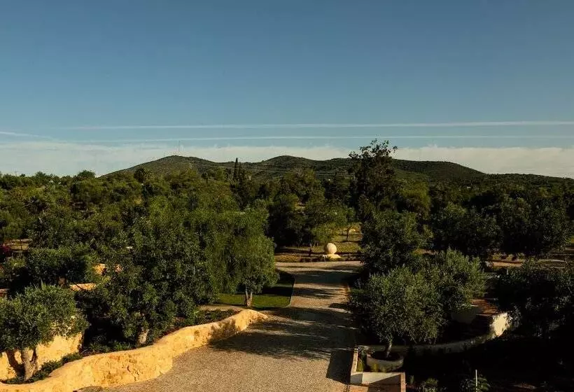 ホテル Solar Alvura Health