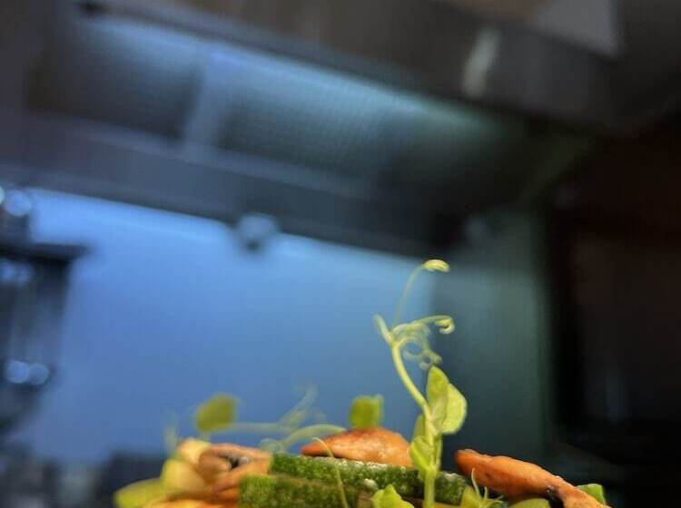 هتل Solar Alvura Health