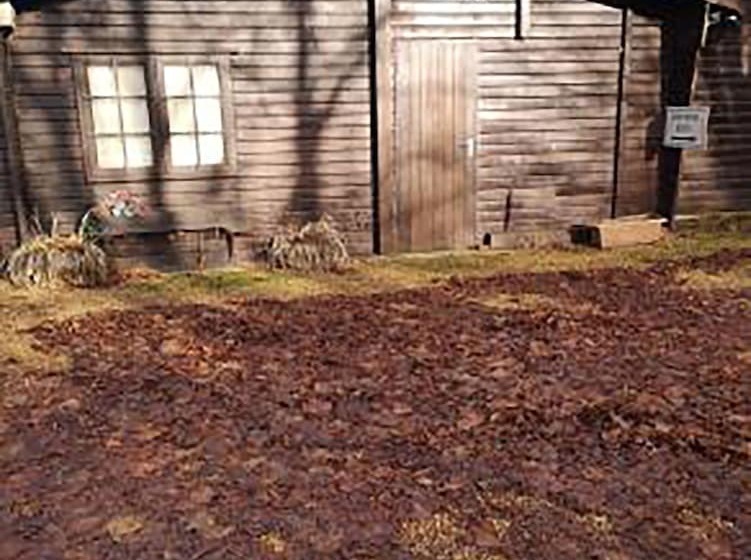 Lily Pad By Paymán Club