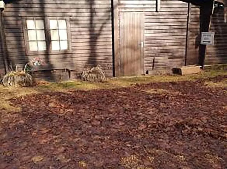 Lily Pad By Paymán Club