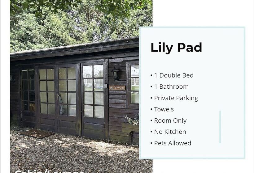 Lily Pad By Paymán Club