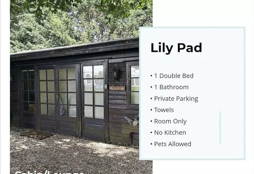 Lily Pad By Paymán Club