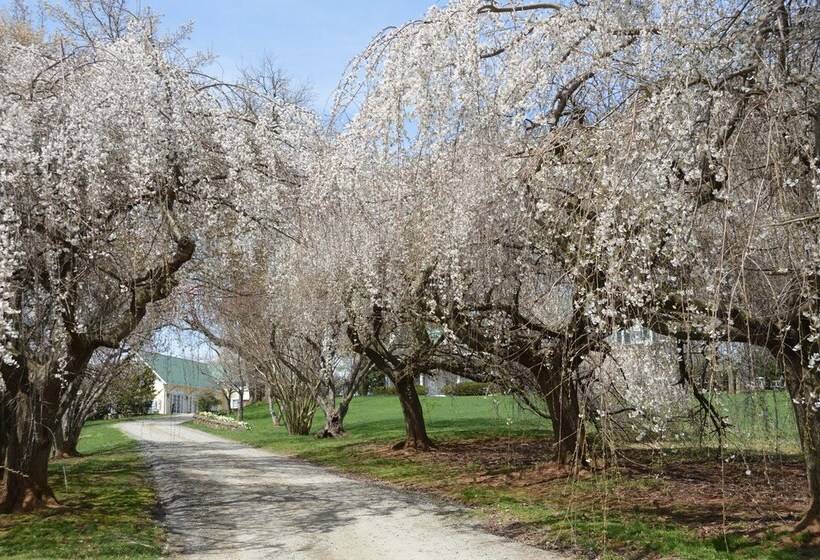 بنسيون Briar Patch Bed & Breakfast Inn