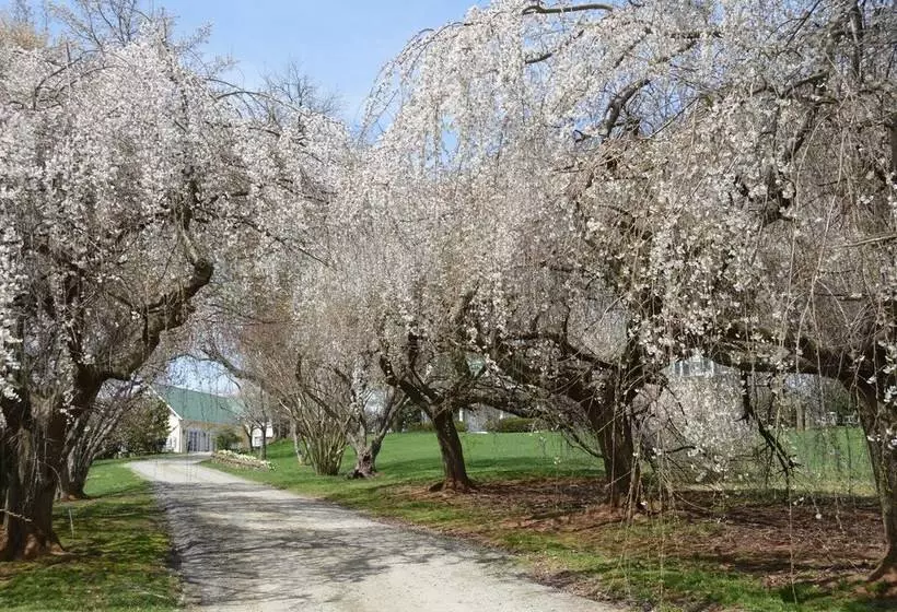 Majatalo Briar Patch Bed & Breakfast Inn