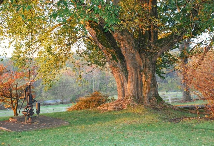 بنسيون Briar Patch Bed & Breakfast Inn