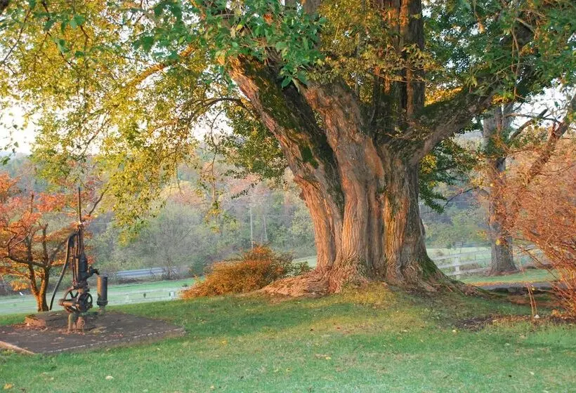 Majatalo Briar Patch Bed & Breakfast Inn