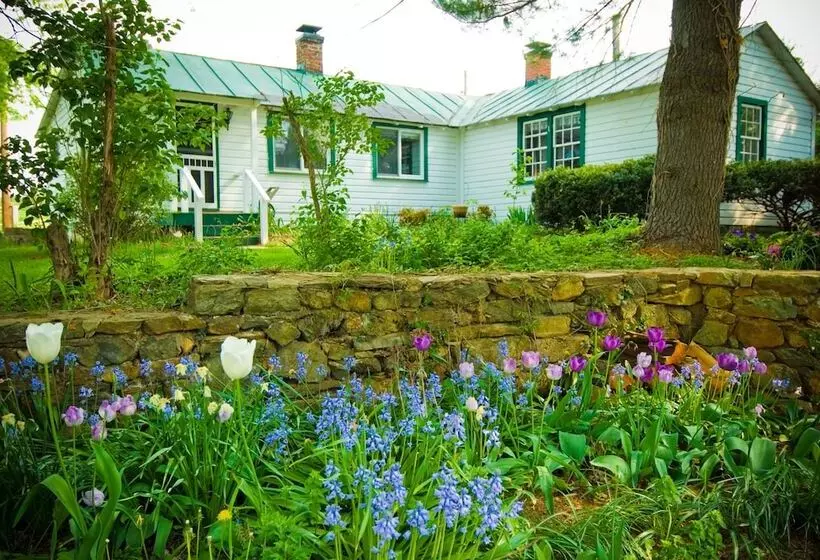 Majatalo Briar Patch Bed & Breakfast Inn