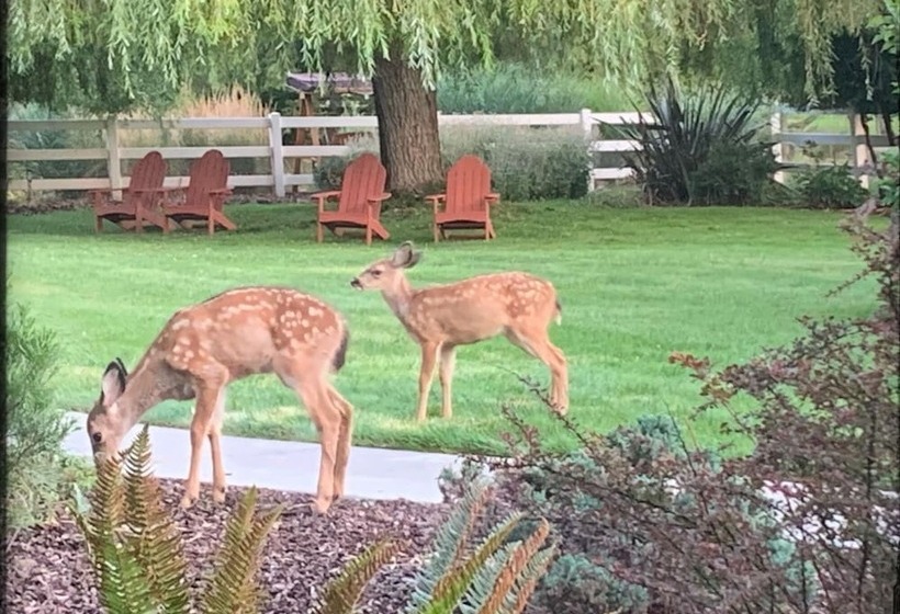 مبيت وإفطار Country Willows Inn And Estate