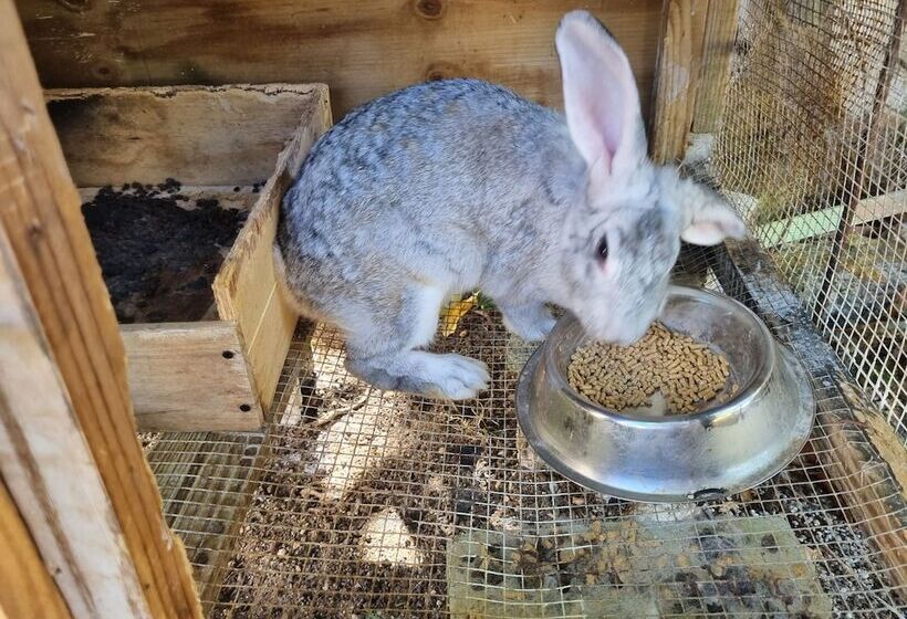 تختخواب و صبحانه Leisure Duplex At Csompo Silver Manor