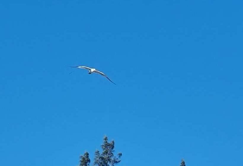 تختخواب و صبحانه Leisure Duplex At Csompo Silver Manor