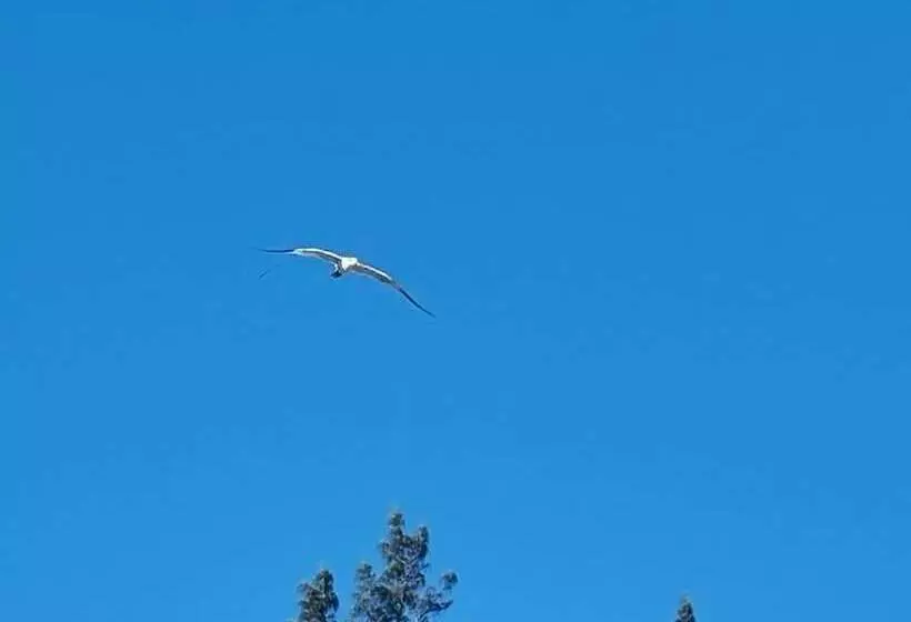 تختخواب و صبحانه Leisure Duplex At Csompo Silver Manor