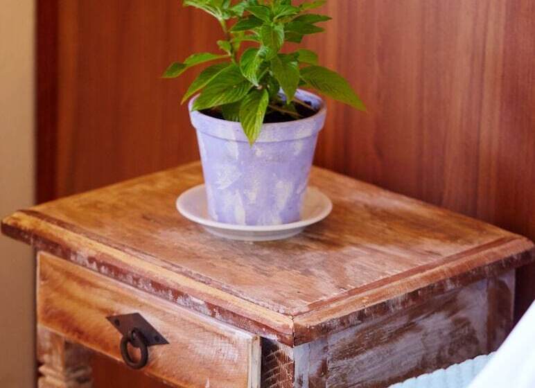 בית מלון כפרי Pousada Lagoa Do Rosa