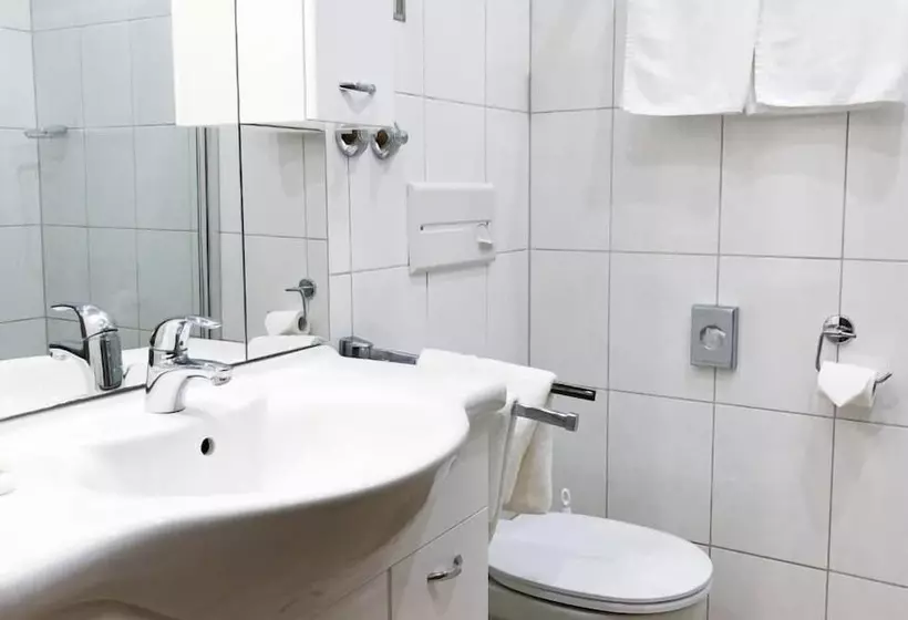 Panorama Hotel Rheinkrone