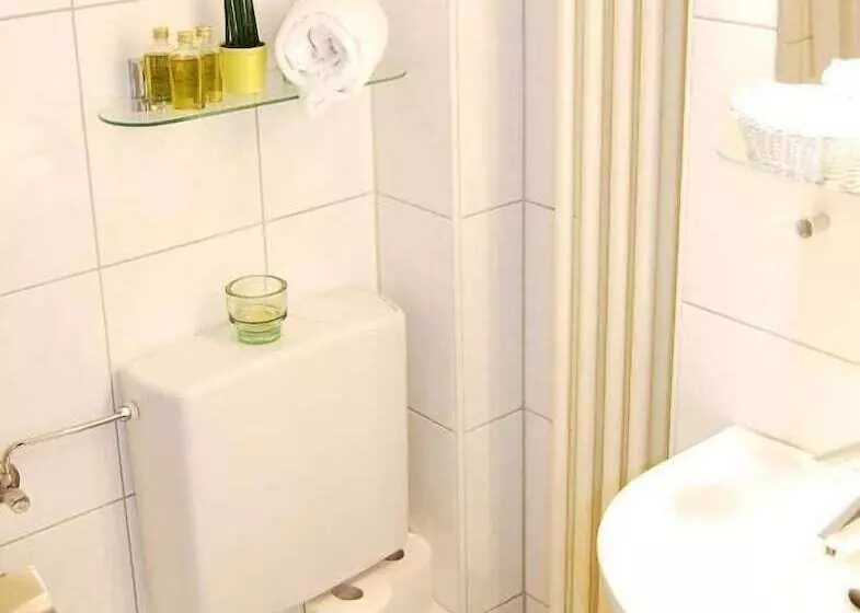 Panorama Hotel Rheinkrone