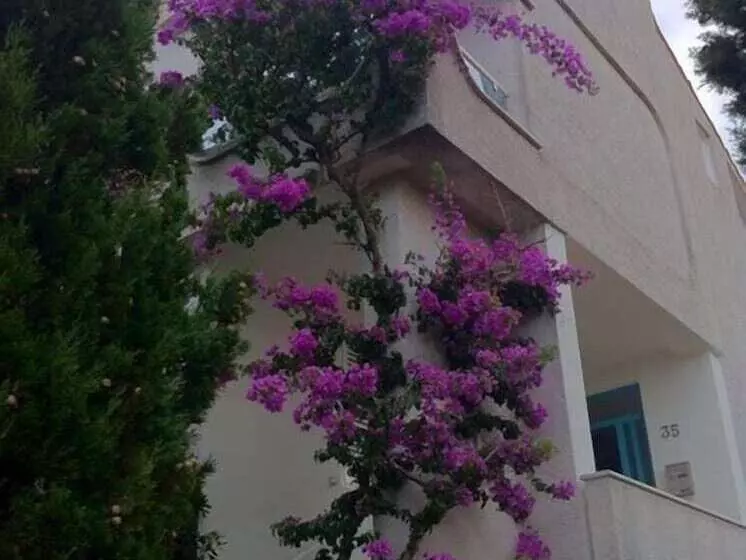 Majatalo Guesthouse Punta Mira   Beachfront