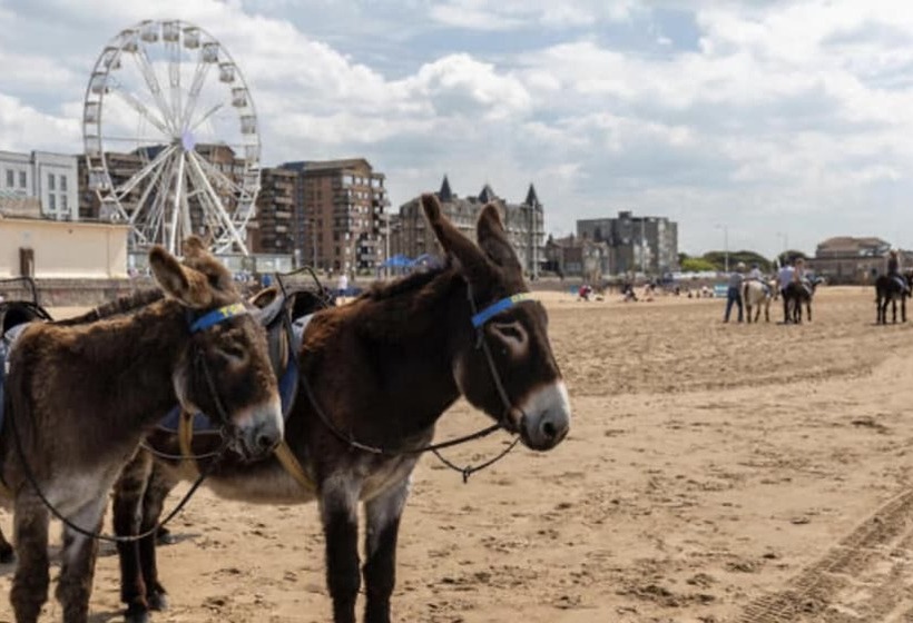 Residência Impeccable 2 Bed House In Weston Super Mare