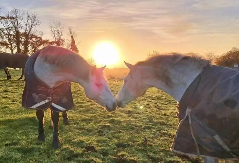 Residenssi Captivating & Cosy 4 Bedroom House In Magherafelt