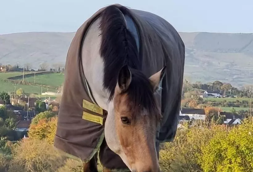 Residenssi Captivating & Cosy 4 Bedroom House In Magherafelt