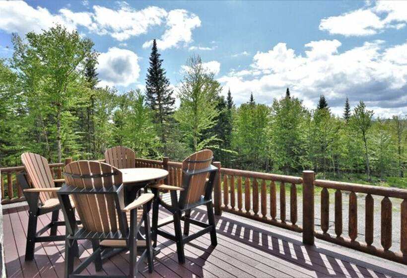 Back Lake Lodges Eagles Nest