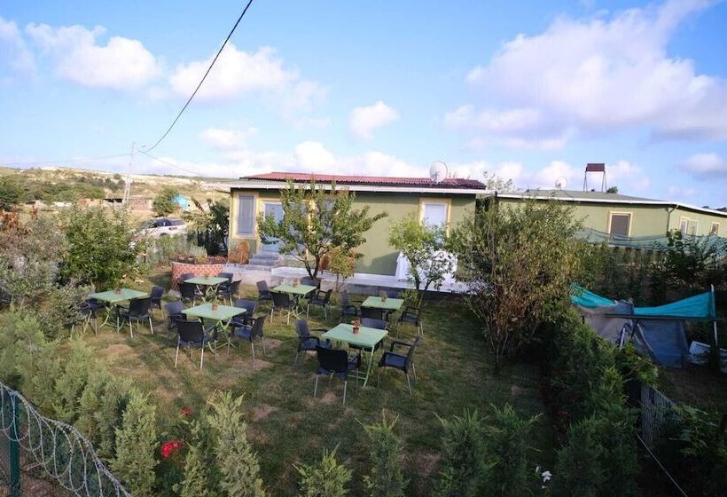 Отель Forest Blue Beach