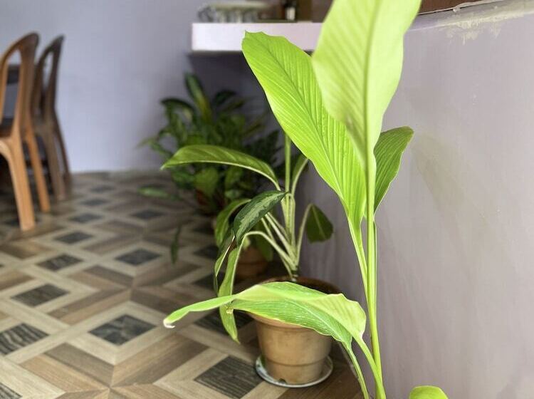 Hotel Purnima Residency , Lakshmanpur