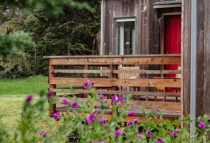 酒店 Scp Mendocino Inn And Farm