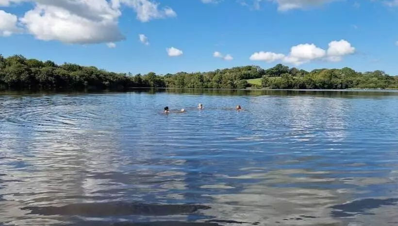 リゾートホテル Zen Jungle Retreat