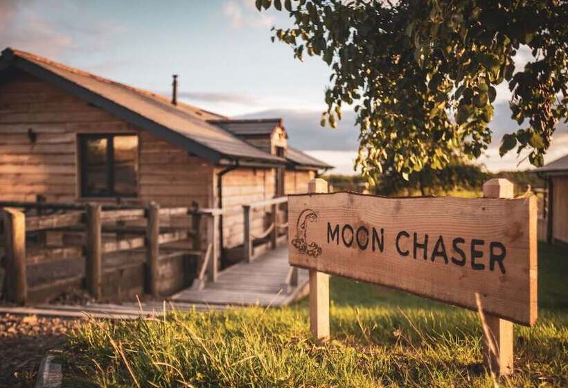 Курорт Zen Jungle Retreat