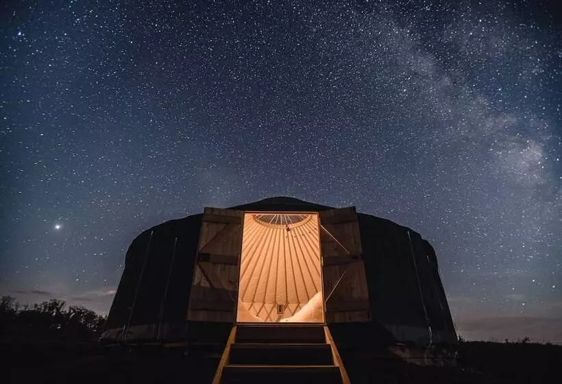 リゾートホテル Zen Jungle Retreat