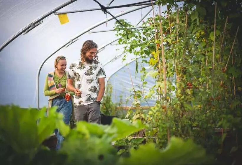 リゾートホテル Zen Jungle Retreat