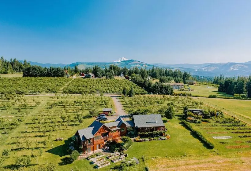 Aamiaismajoitus (B&B) Sakura Ridge The Farm & Lodge