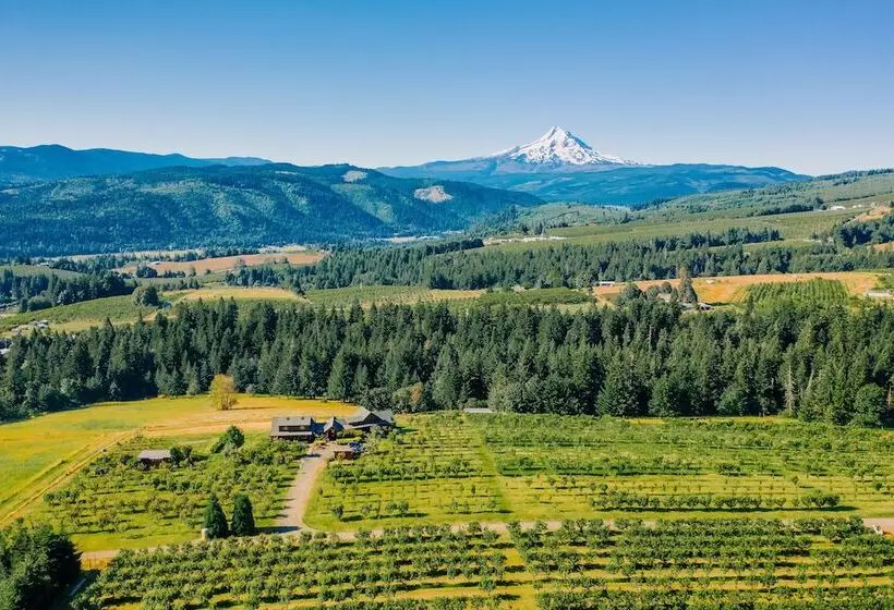 Aamiaismajoitus (B&B) Sakura Ridge The Farm & Lodge