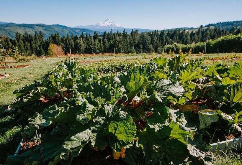 住宿加早餐  Sakura Ridge The Farm & Lodge