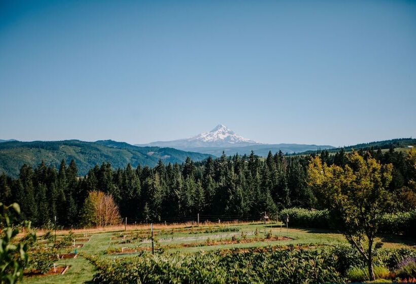 住宿加早餐  Sakura Ridge The Farm & Lodge