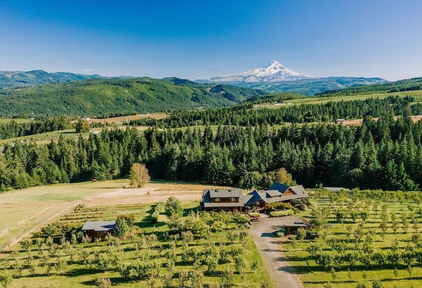 住宿加早餐  Sakura Ridge The Farm & Lodge