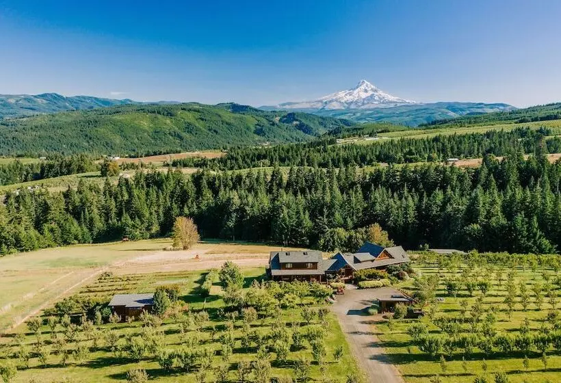 Aamiaismajoitus (B&B) Sakura Ridge The Farm & Lodge