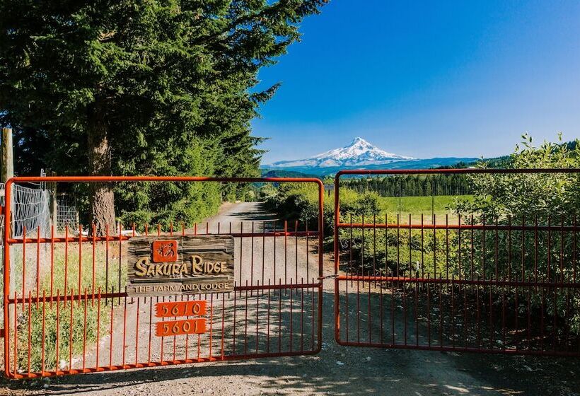 住宿加早餐  Sakura Ridge The Farm & Lodge