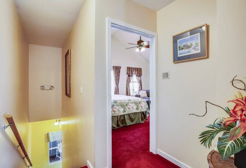 Duval Sea Turtle By Avantstay Great Location Close To Shops Shared Pool!