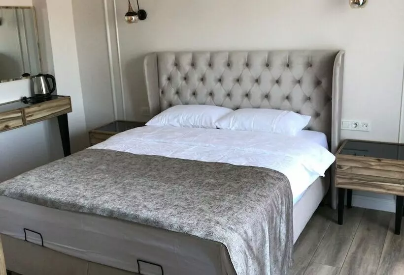 簡易ホテル Anti̇goni̇a Buti̇k Otel